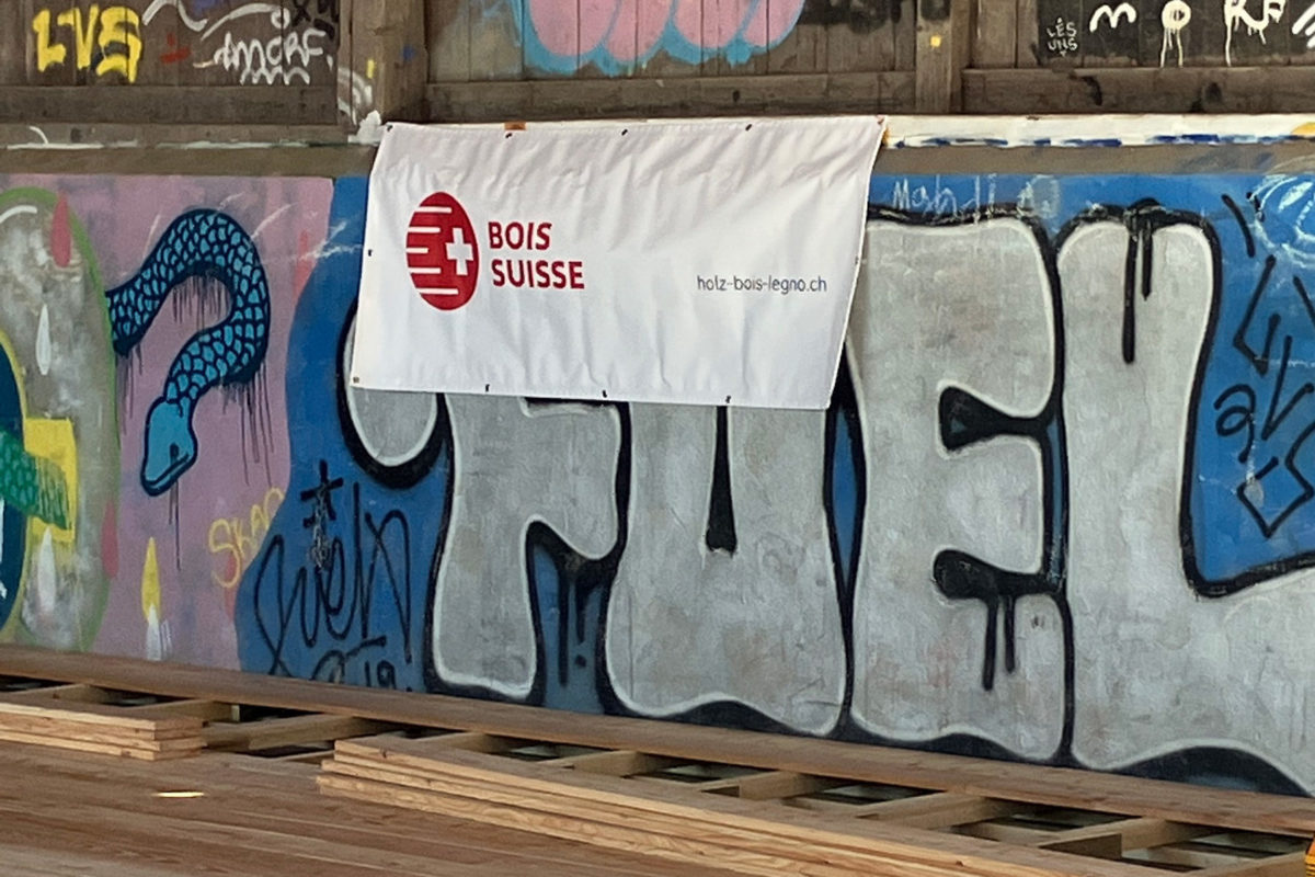 IMG 0119
